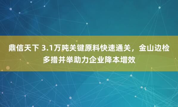鼎信天下 3.1万吨关键原料快速通关，金山边检多措并举助力企业降本增效