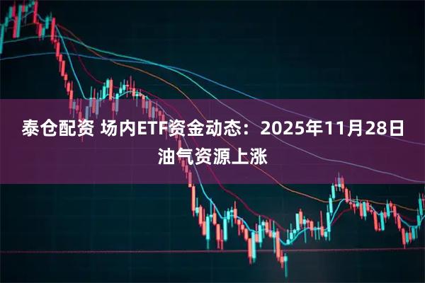 泰仓配资 场内ETF资金动态：2025年11月28日油气资源上涨