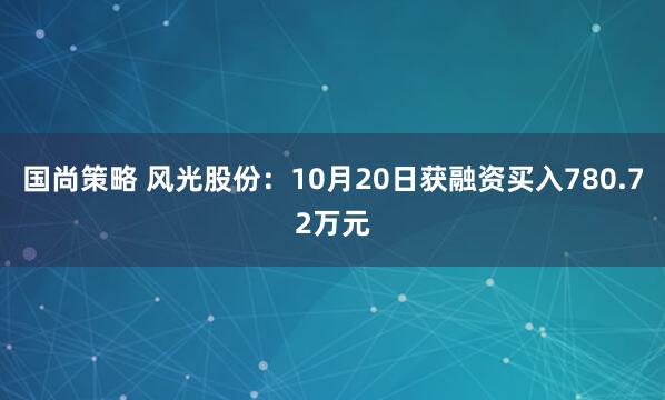 国尚策略 风光股份：10月20日获融资买入780.72万元