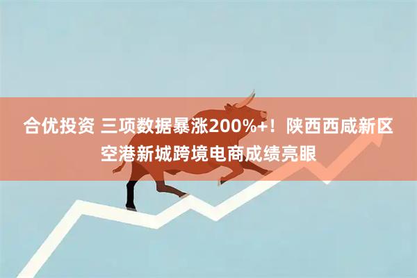合优投资 三项数据暴涨200%+！陕西西咸新区空港新城跨境电商成绩亮眼